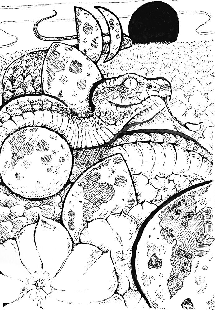 Desenho de Répteis para colorir e imprimir: número 46