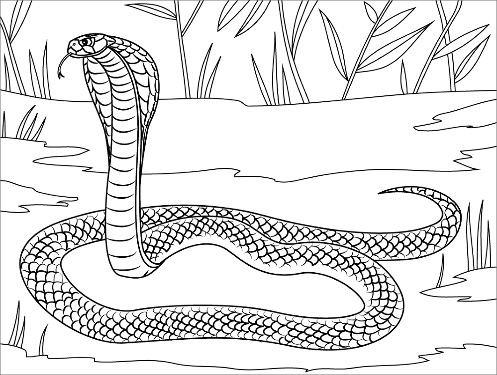 Desenho de Répteis para colorir