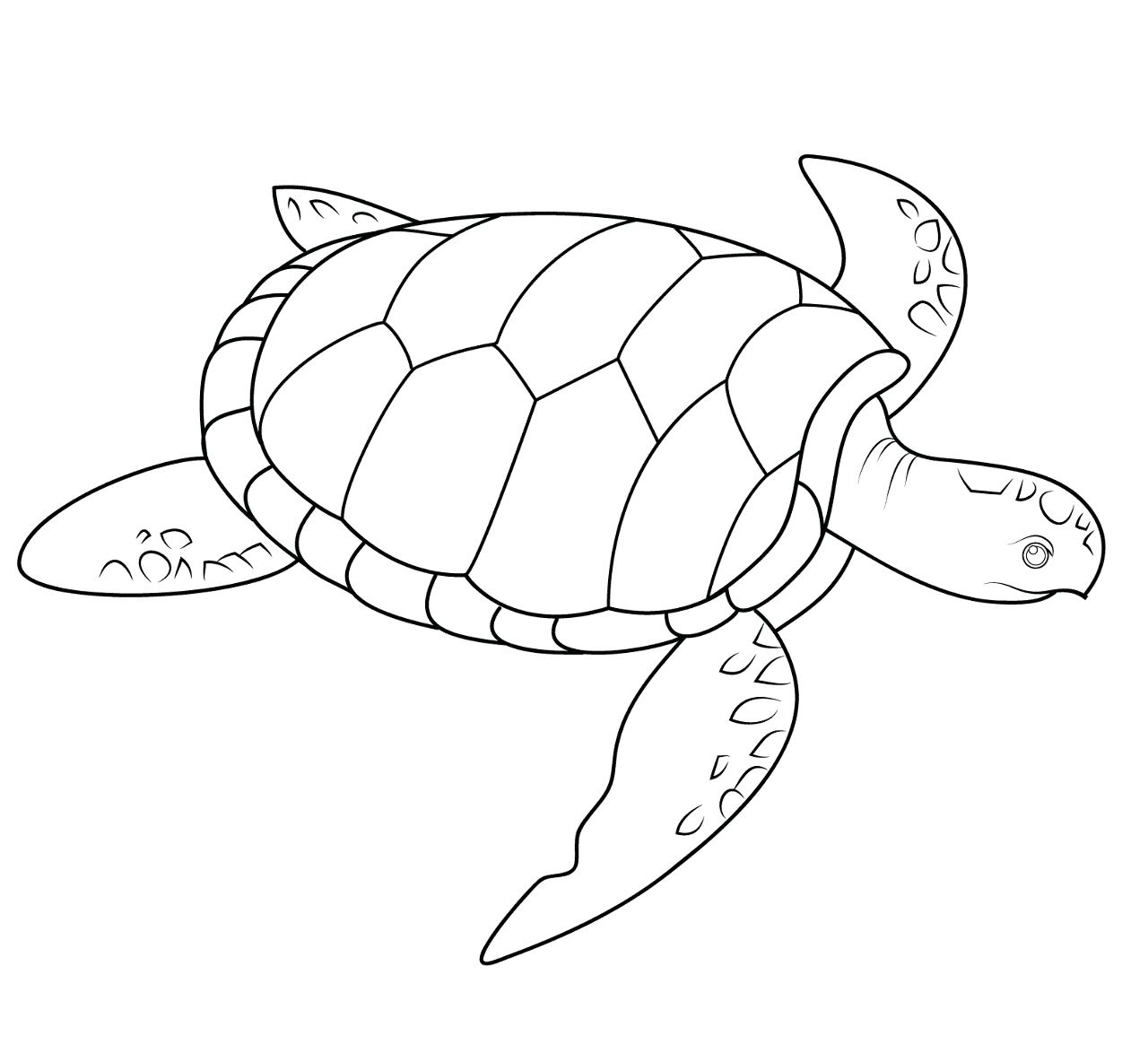 Desenho de Répteis para colorir