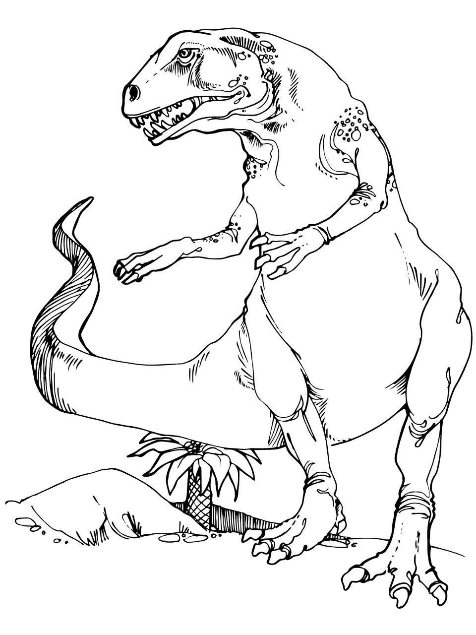 Desenho de Répteis para colorir