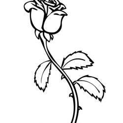 Desenho de Rosa para colorir e imprimir: número 6
