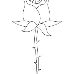 Desenho de Rosa para colorir e imprimir: número 13