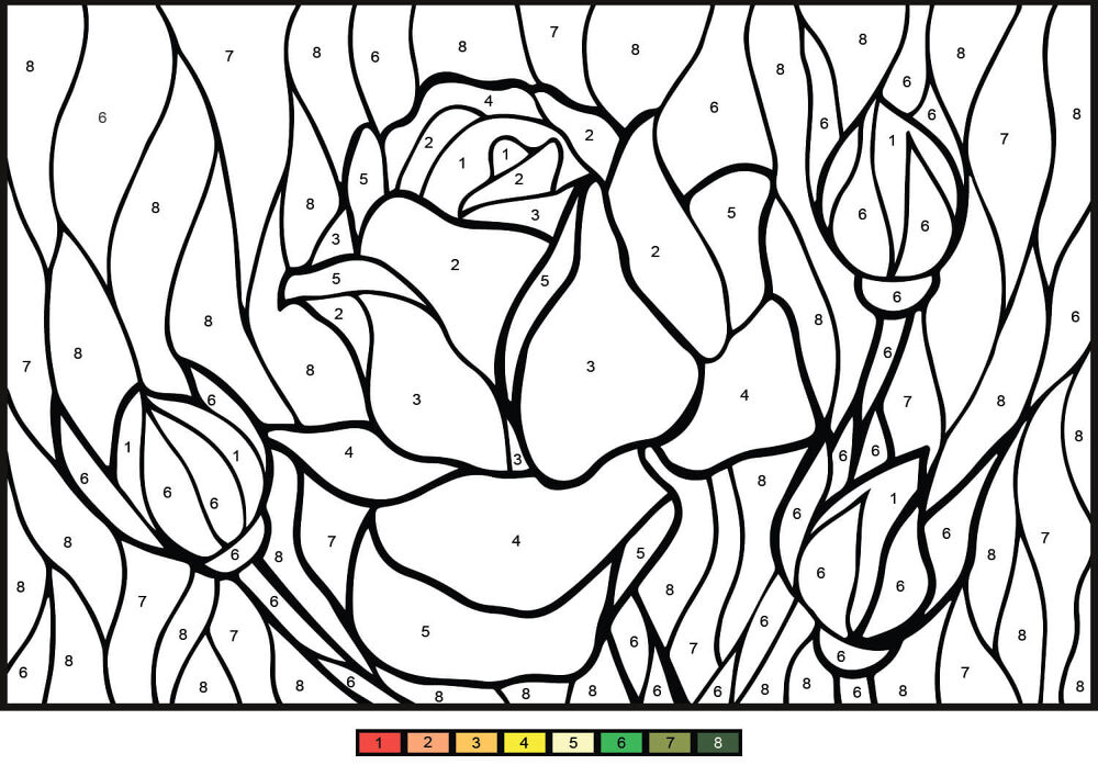 Desenho de Rosa para colorir e imprimir: número 16