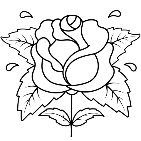 Desenho de Rosa para colorir e imprimir: número 17