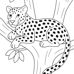 Desenho de Safari para colorir e imprimir: número 8