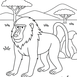 Desenho de Safari para colorir e imprimir: número 12