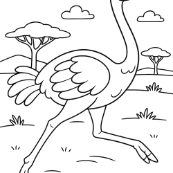 Desenho de Safari para colorir e imprimir: número 13