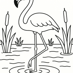 Desenho de Safari para colorir e imprimir: número 15