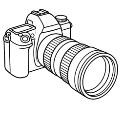 Desenho de Safari para colorir e imprimir: número 19