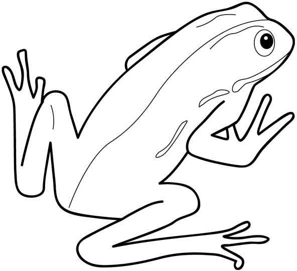 Desenho de Sapos para colorir e imprimir: número 9
