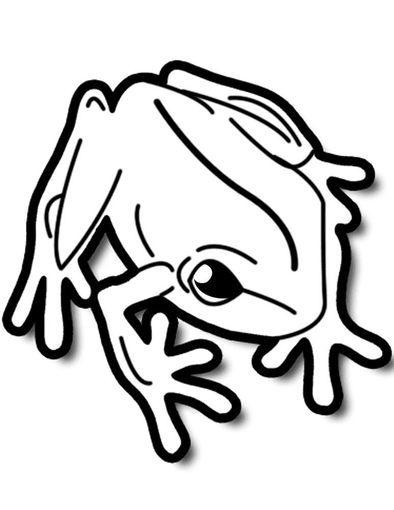 Desenho de Sapos para colorir e imprimir: número 13