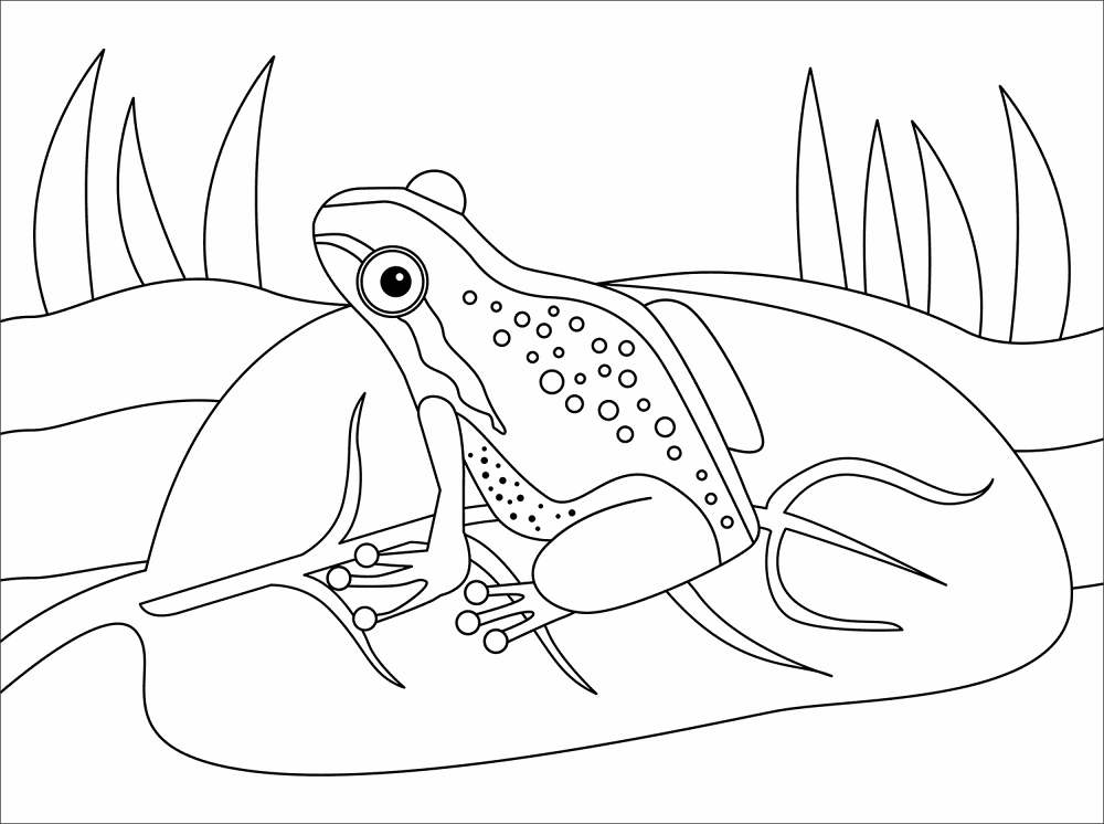 Desenho de Sapos para colorir e imprimir: número 15