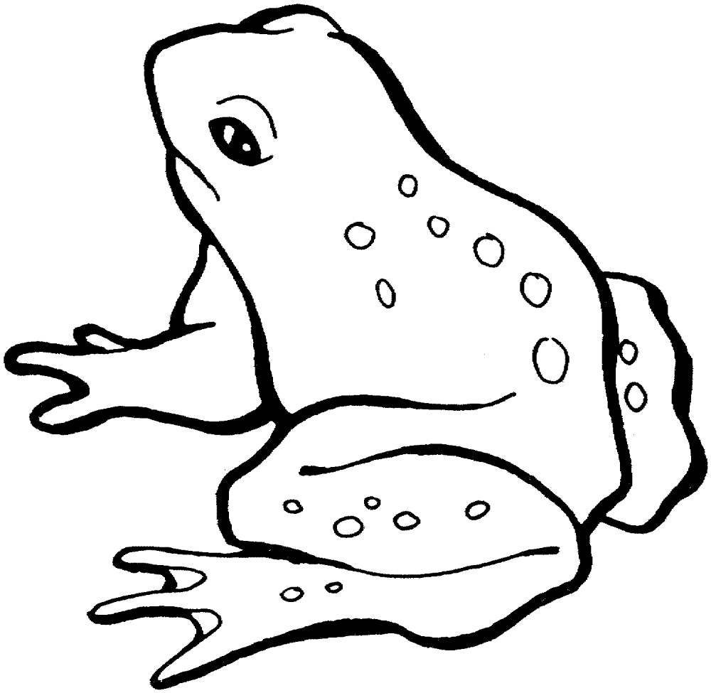 Desenho de Sapos para colorir e imprimir: número 38