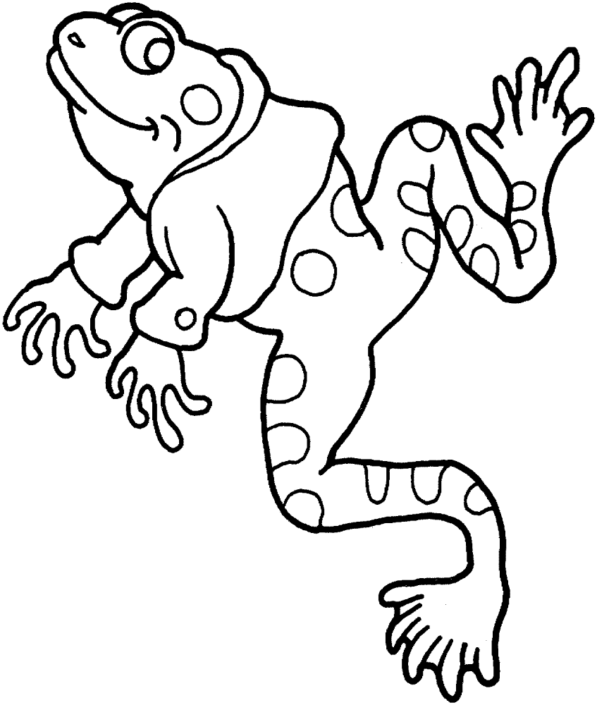 Desenho de Sapos para colorir e imprimir: número 39