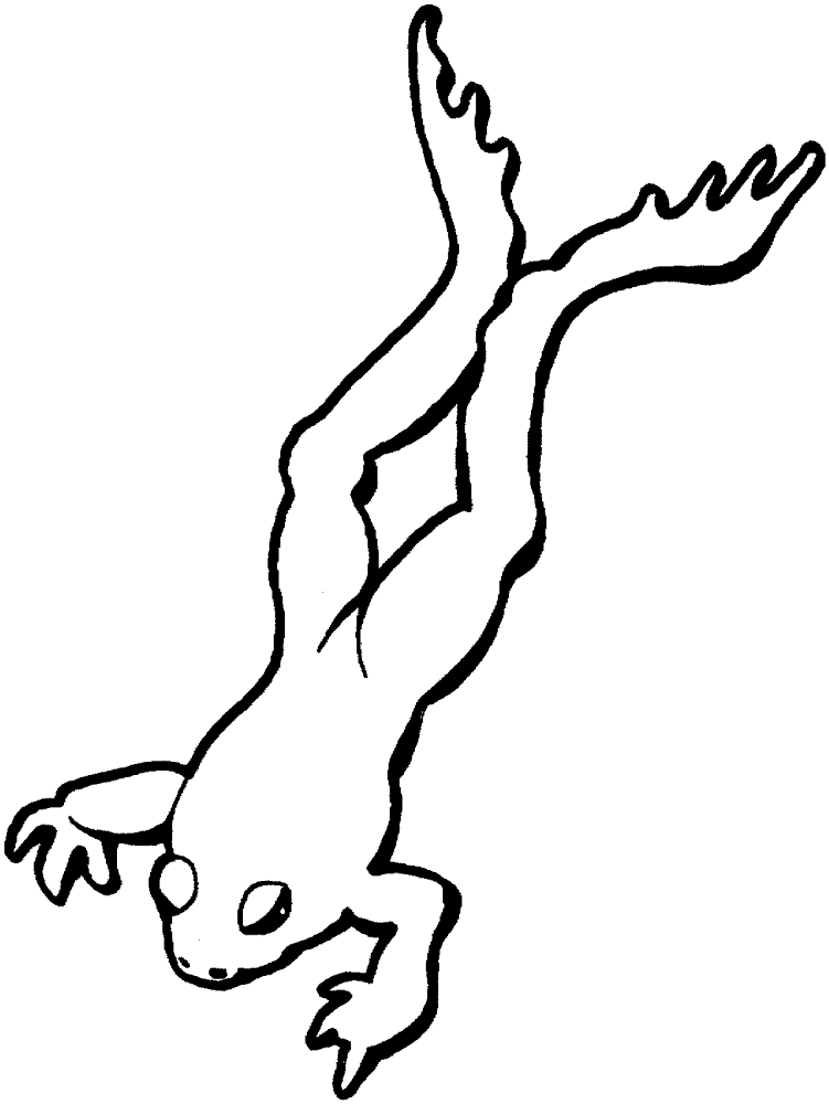 Desenho de Sapos para colorir e imprimir: número 40