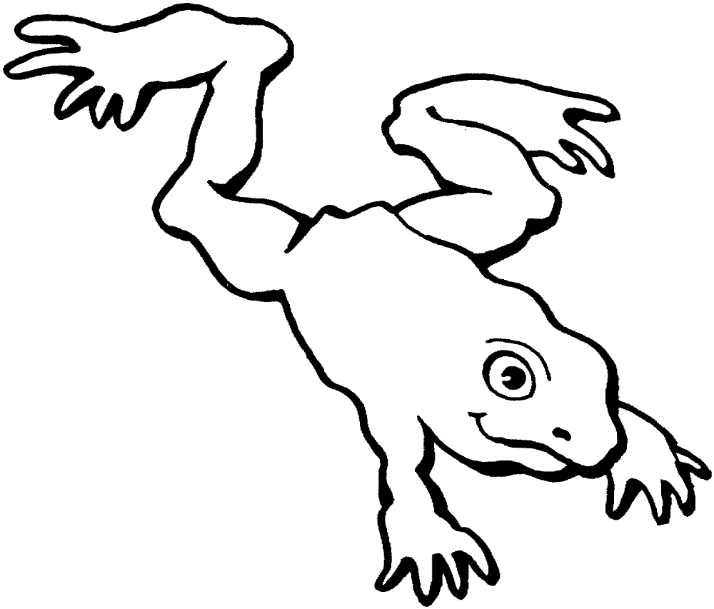 Desenho de Sapos para colorir e imprimir: número 42
