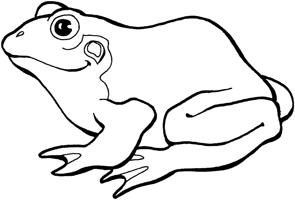 Desenho de Sapos para colorir e imprimir: número 45