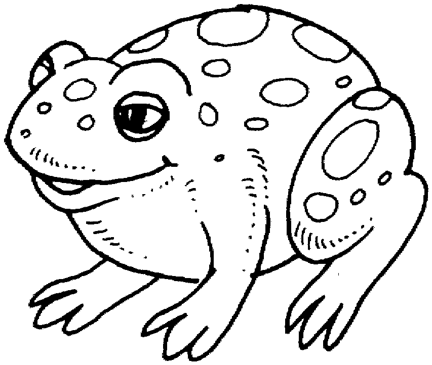 Desenho de Sapos para colorir e imprimir: número 46