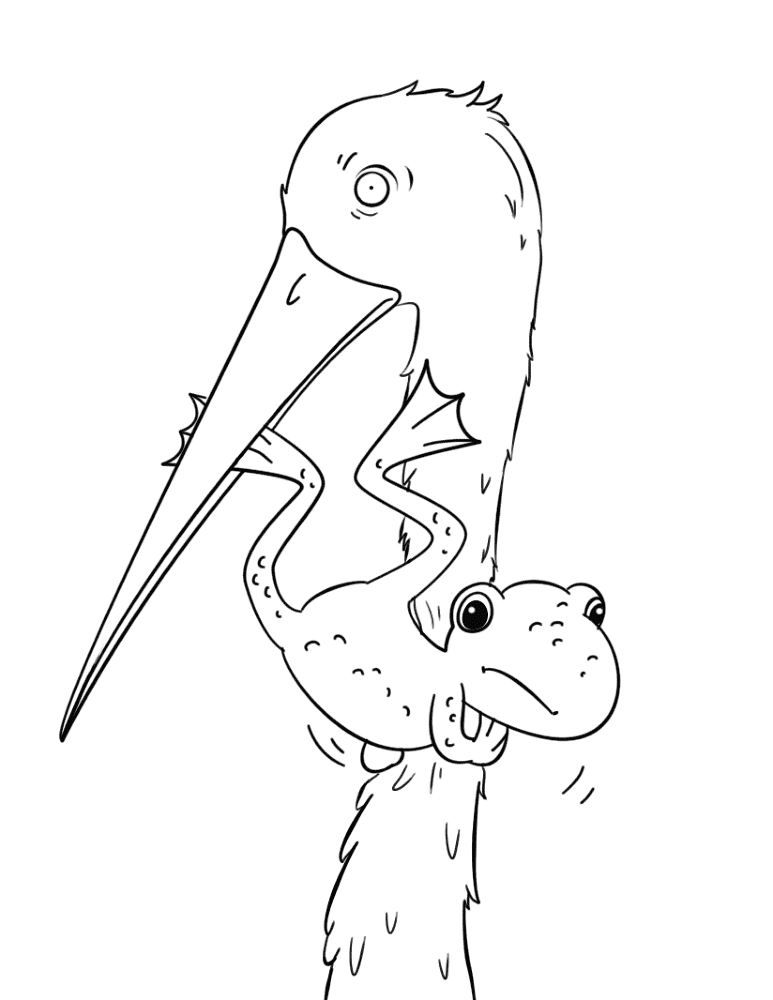 Desenho de Sapos para colorir