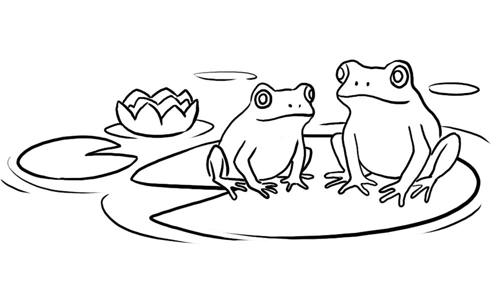 Desenho de Sapos para colorir