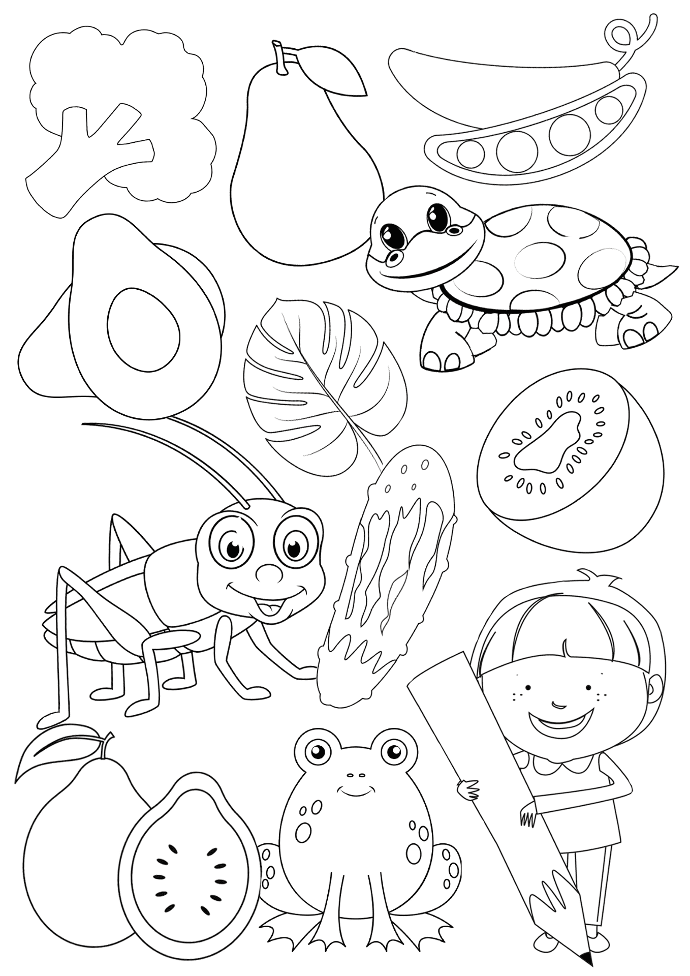 Desenho de Sapos para colorir