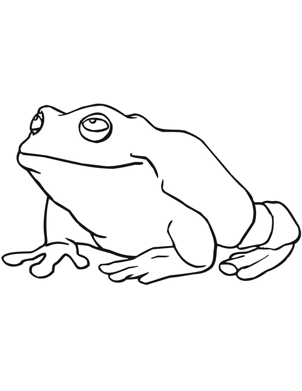 Desenho de Sapos para colorir