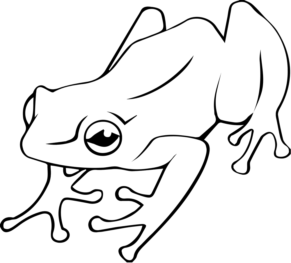 Desenho de Sapos para colorir