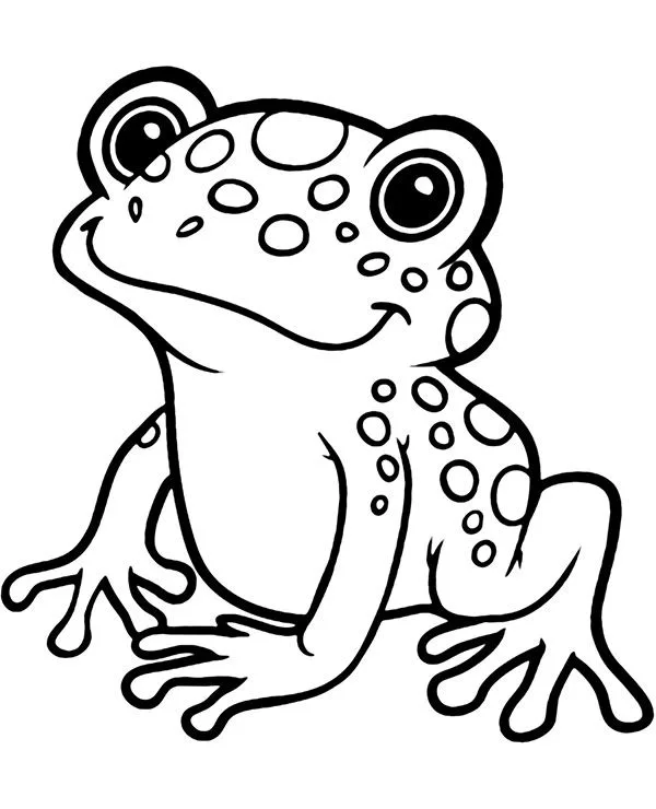 Desenho de Sapos para colorir