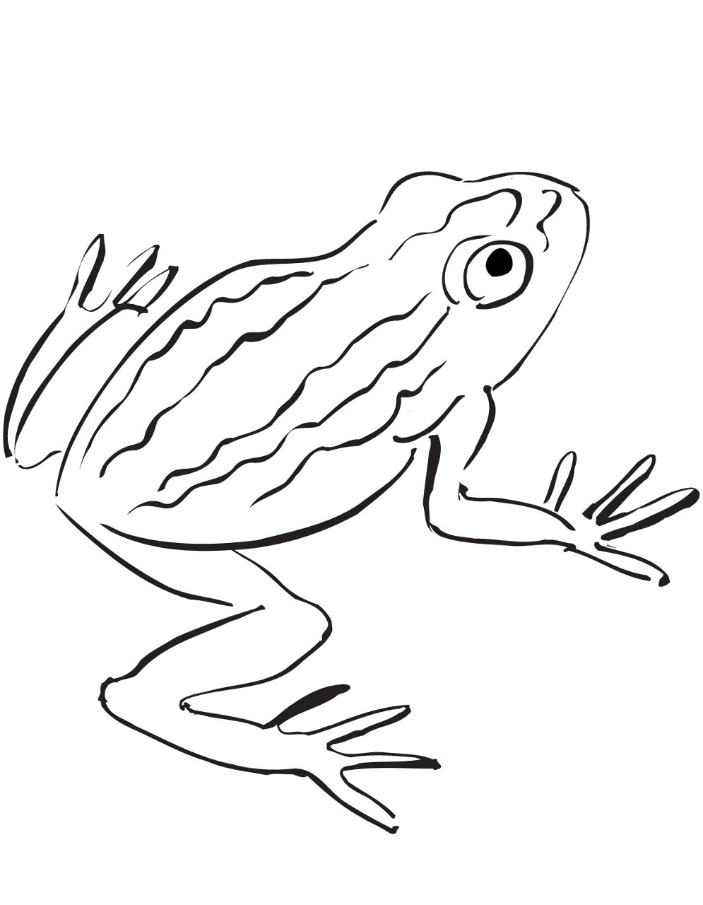 Desenho de Sapos para colorir
