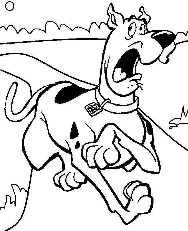 Desenho de Scooby Doo para colorir e imprimir: número 1