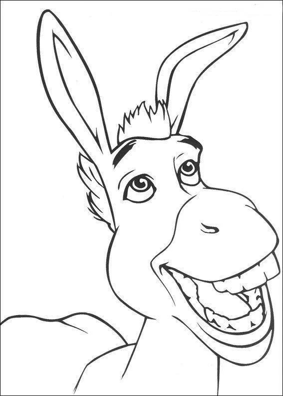 Desenho de Shrek para colorir e imprimir: número 23