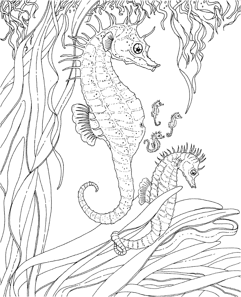 Desenho de Sob O Mar para colorir e imprimir: número 5
