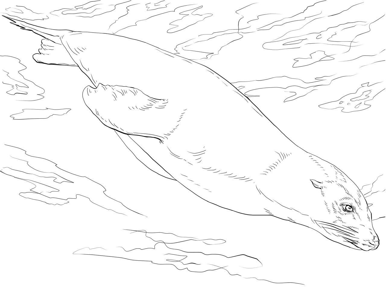 Desenho de Sob O Mar para colorir e imprimir: número 8