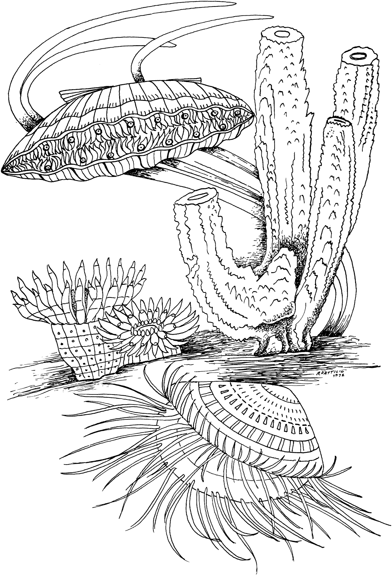 Desenho de Sob O Mar para colorir e imprimir: número 10