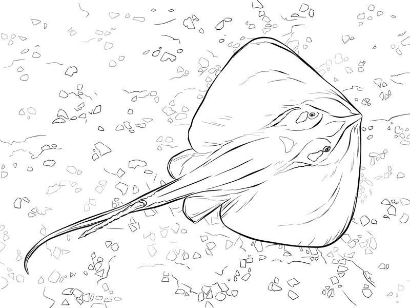 Desenho de Sob O Mar para colorir e imprimir: número 11