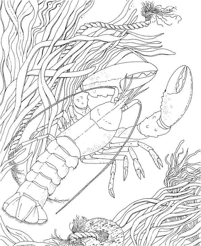 Desenho de Sob O Mar para colorir e imprimir: número 14