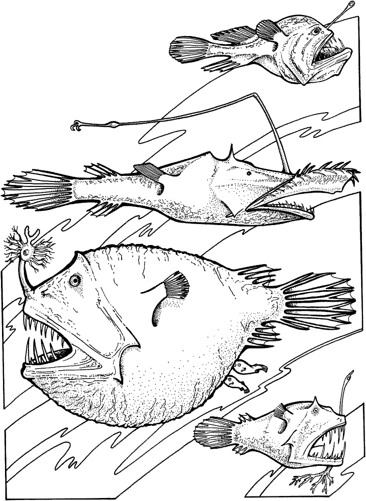 Desenho de Sob O Mar para colorir e imprimir: número 16