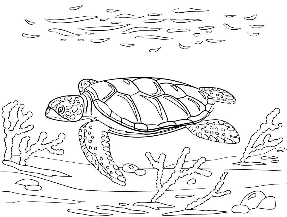 Desenho de Sob O Mar para colorir e imprimir: número 19