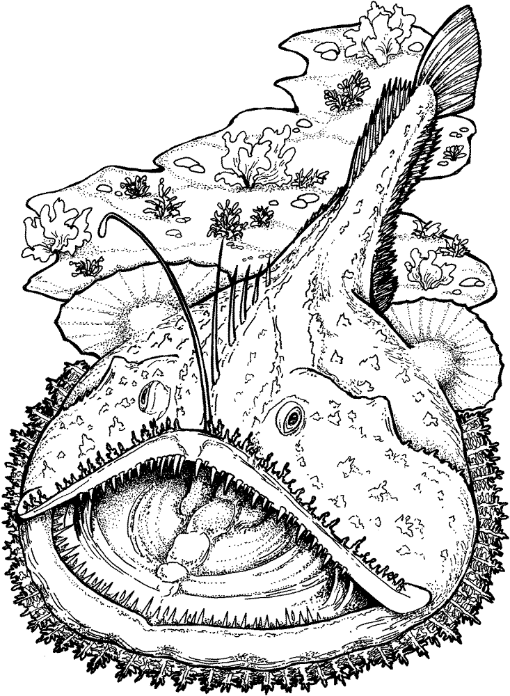 Desenho de Sob O Mar para colorir e imprimir: número 20