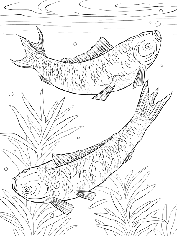 Desenho de Sob O Mar para colorir e imprimir: número 26