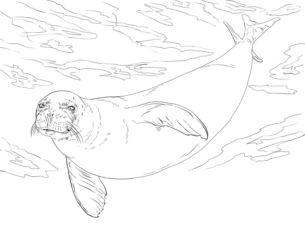 Desenho de Sob O Mar para colorir e imprimir: número 31
