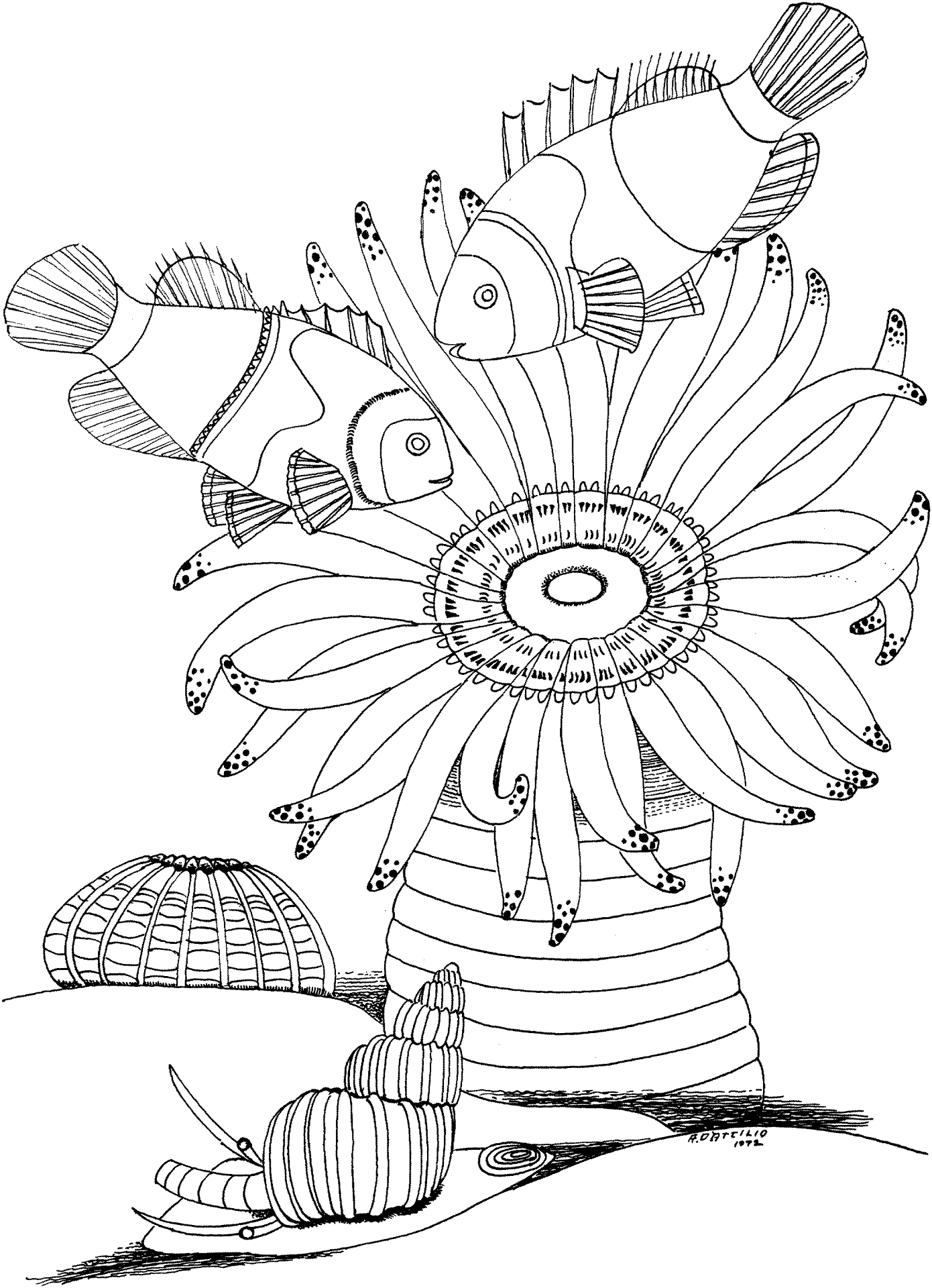 Desenho de Sob O Mar para colorir e imprimir: número 35
