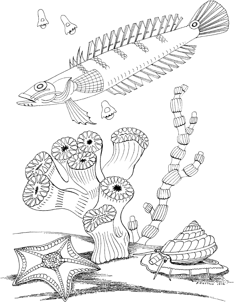 Desenho de Sob O Mar para colorir e imprimir: número 38