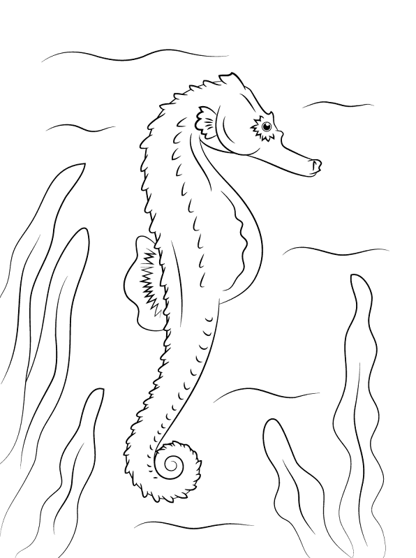 Desenho de Sob O Mar para colorir e imprimir: número 43
