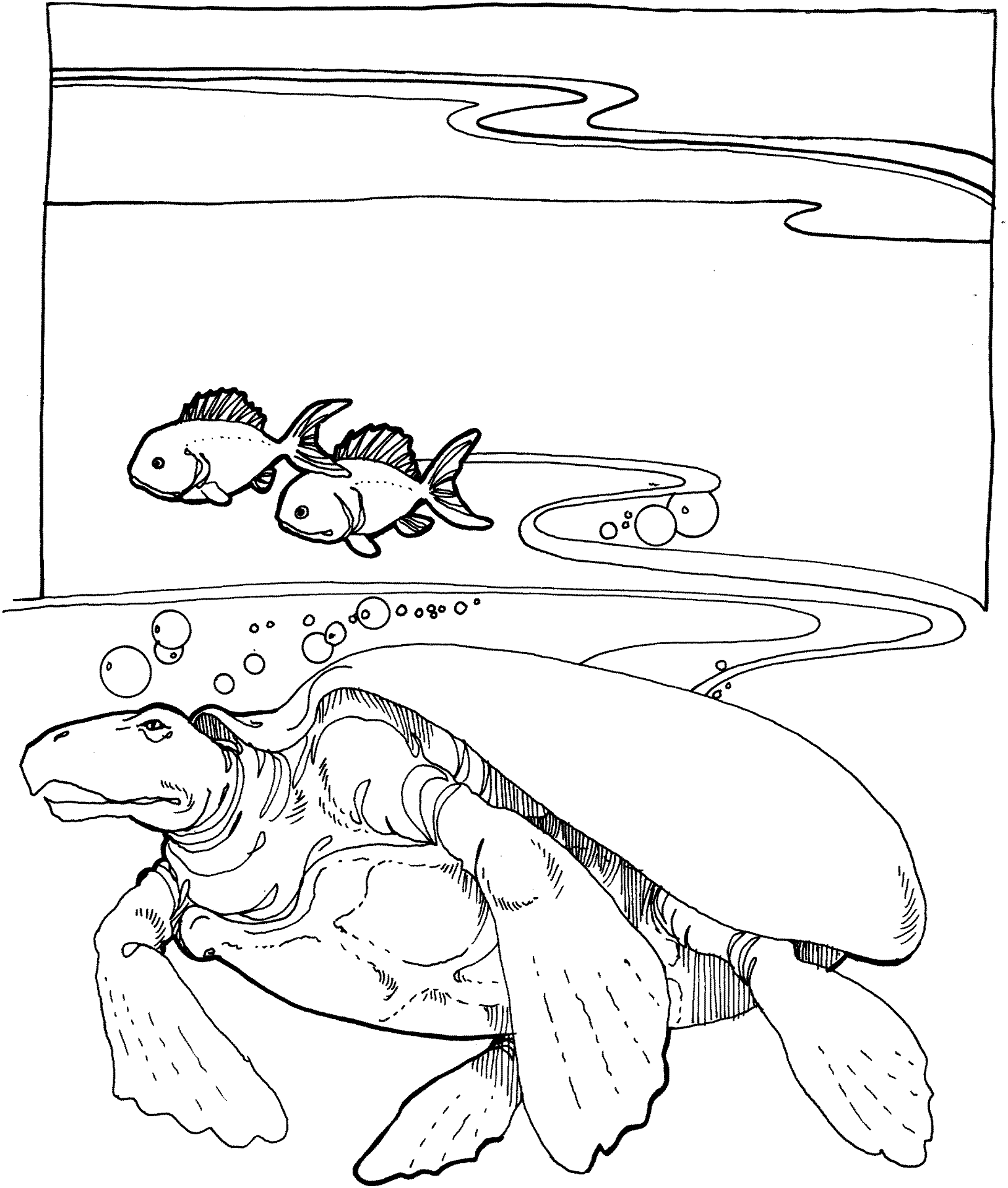 Desenho de Sob O Mar para colorir