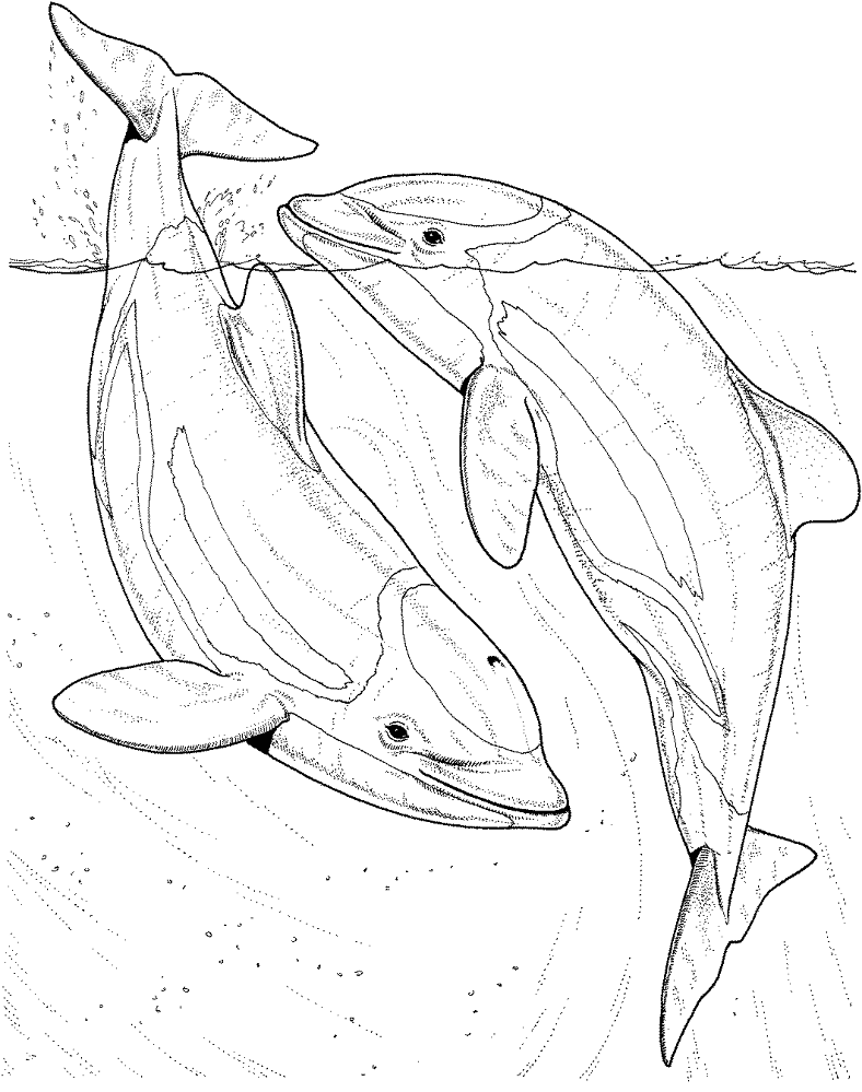 Desenho de Sob O Mar para colorir