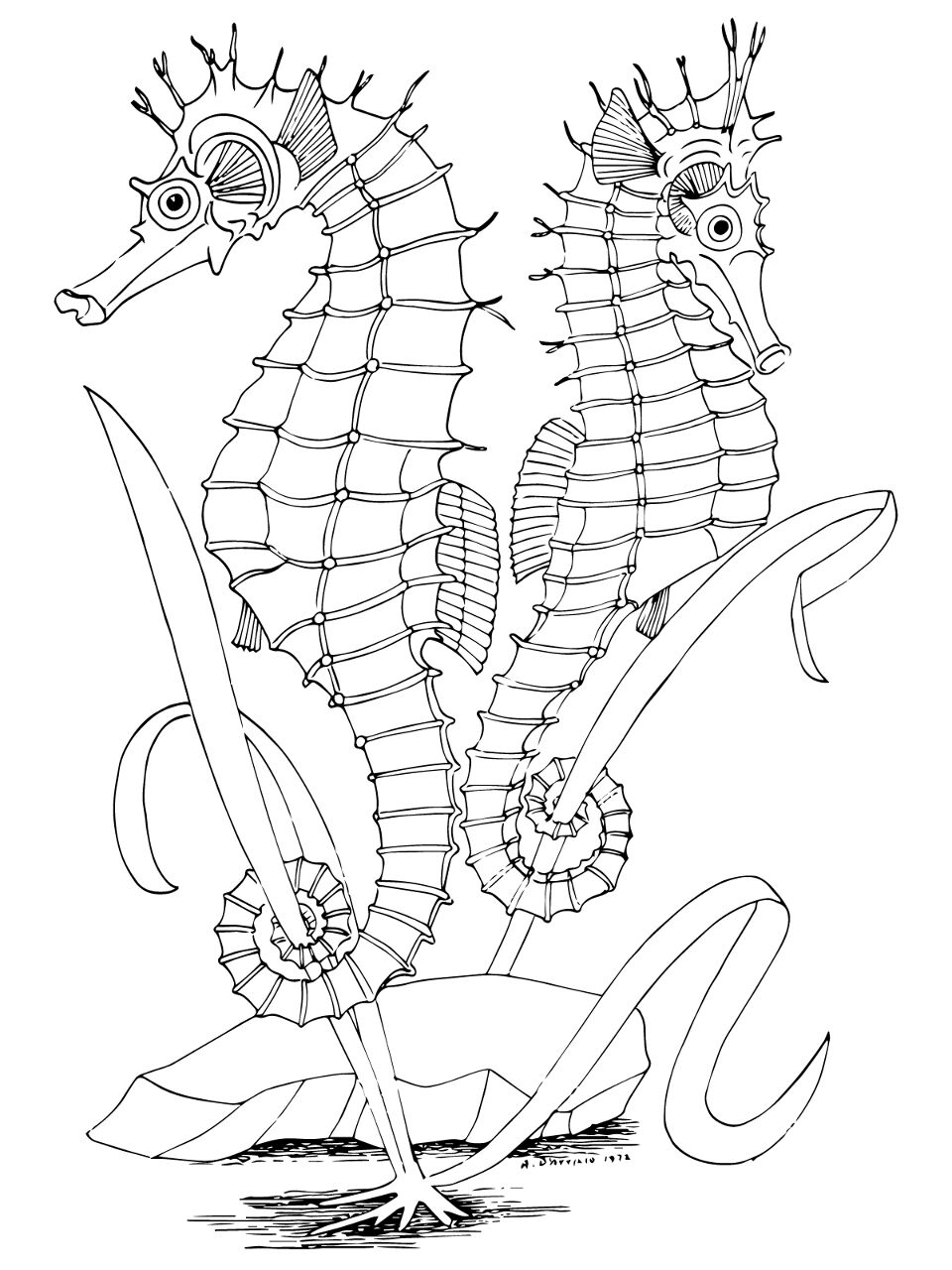 Desenho de Sob O Mar para colorir