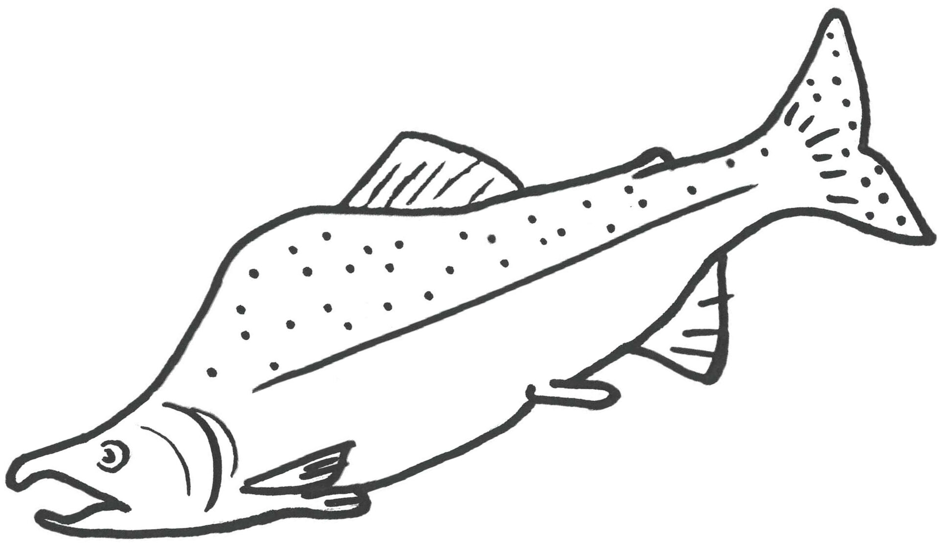 Desenho de Subaquático para colorir e imprimir: número 6