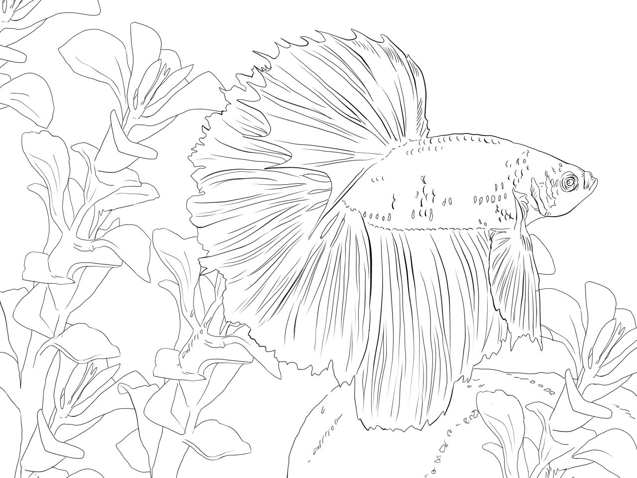 Desenho de Subaquático para colorir e imprimir: número 7
