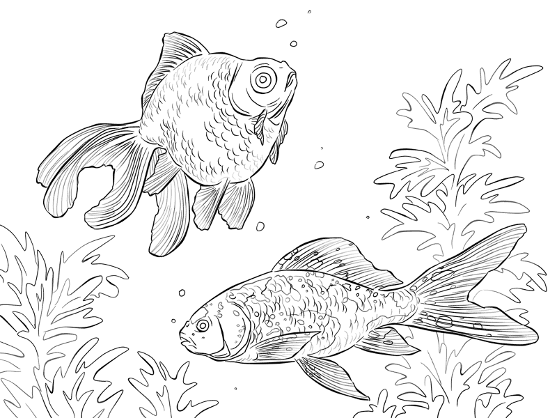 Desenho de Subaquático para colorir e imprimir: número 8